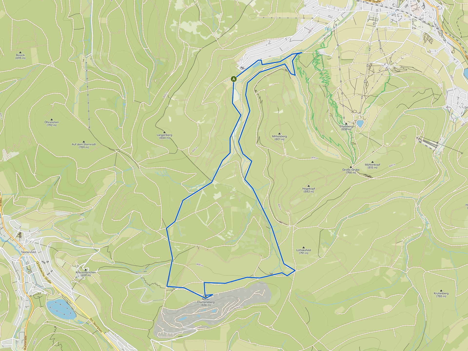 The best dog-friendly hikes and walks in the Sauerland | Komoot